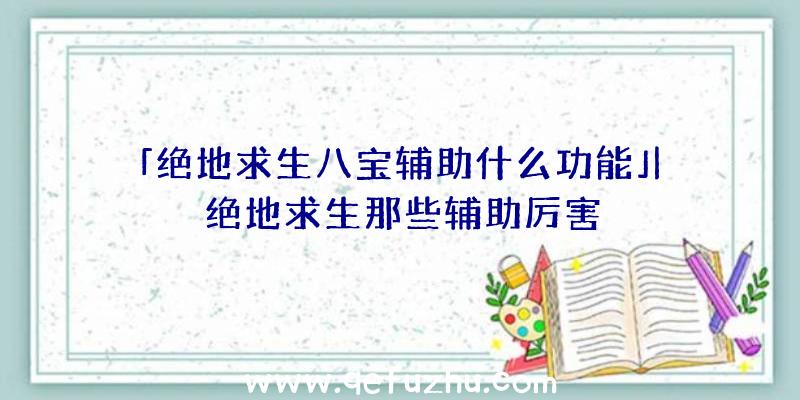 「绝地求生八宝辅助什么功能」|绝地求生那些辅助厉害